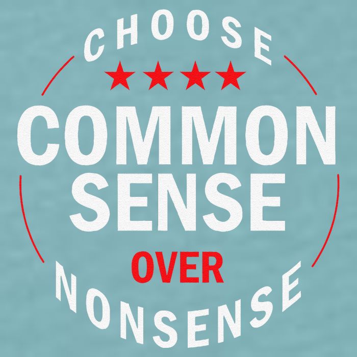 Choose Common Sense Over Nonsense Sueded Cloud Jersey T-Shirt