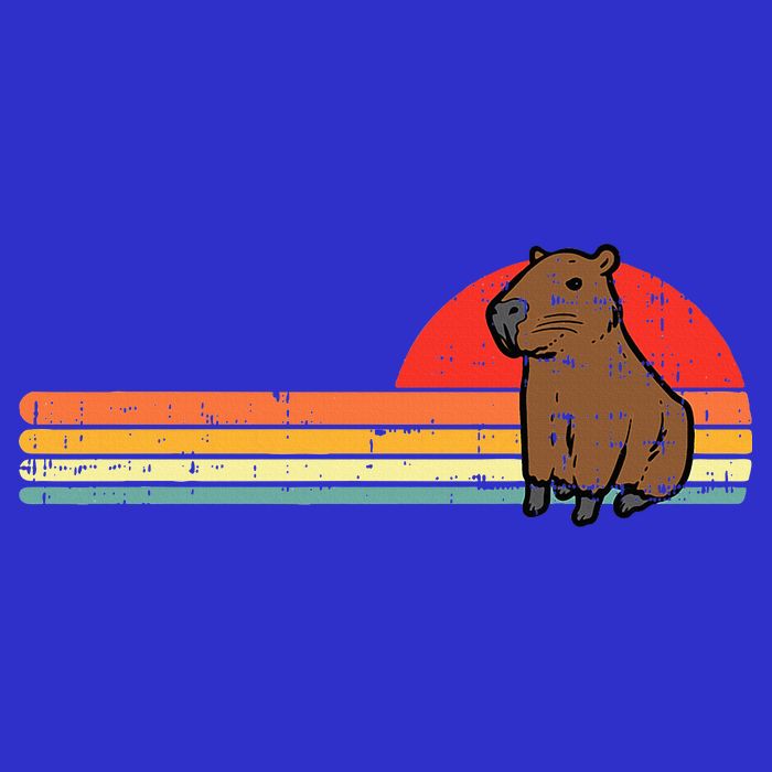 Capybara Chest Sunset Retro Capy Rodent Visor