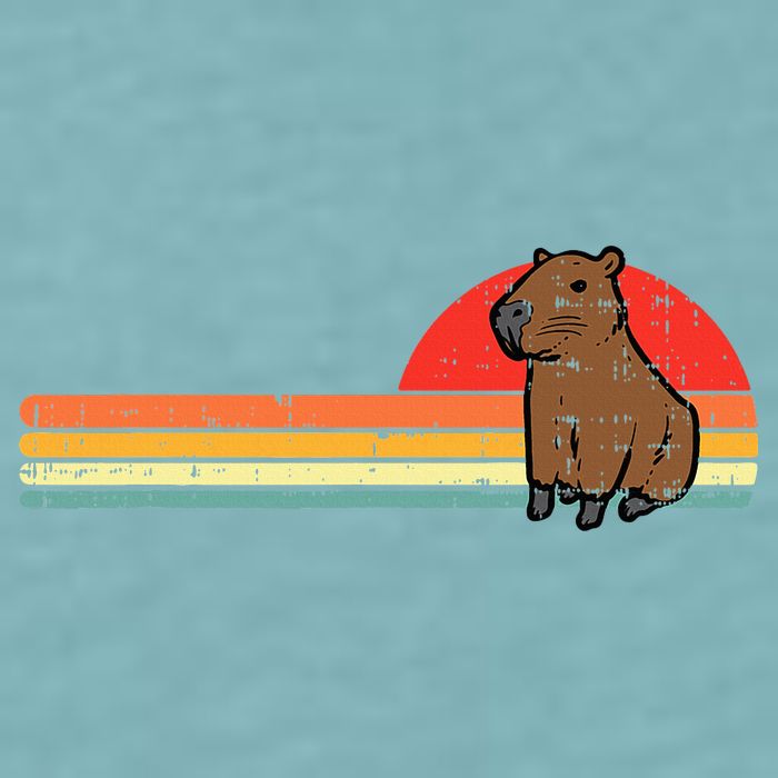 Capybara Chest Sunset Retro Capy Rodent Sueded Cloud Jersey T-Shirt