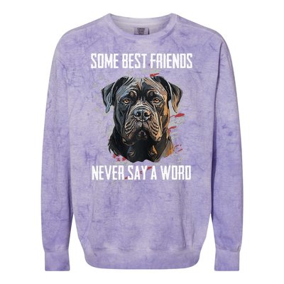 Cane Corso Some Best Friends Never Say A Word Colorblast Crewneck Sweatshirt