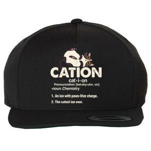 Cation Cat Science Chemistry Teacher Chemist Kitten Lover Meaningful Gift Wool Snapback Cap