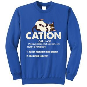 Cation Cat Science Chemistry Teacher Chemist Kitten Lover Meaningful Gift Sweatshirt