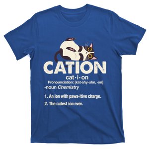 Cation Cat Science Chemistry Teacher Chemist Kitten Lover Meaningful Gift T-Shirt