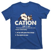 Cation Cat Science Chemistry Teacher Chemist Kitten Lover Meaningful Gift T-Shirt