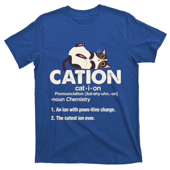 Cation Cat Science Chemistry Teacher Chemist Kitten Lover Meaningful Gift T-Shirt