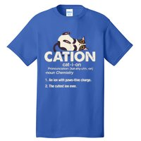 Cation Cat Science Chemistry Teacher Chemist Kitten Lover Meaningful Gift Tall T-Shirt