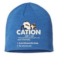 Cation Cat Science Chemistry Teacher Chemist Kitten Lover Meaningful Gift Sustainable Beanie