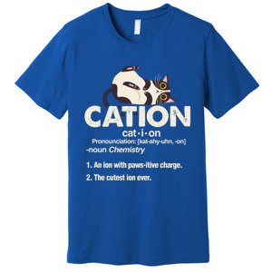 Cation Cat Science Chemistry Teacher Chemist Kitten Lover Meaningful Gift Premium T-Shirt