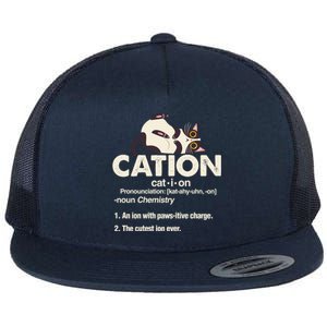 Cation Cat Science Chemistry Teacher Chemist Kitten Lover Meaningful Gift Flat Bill Trucker Hat