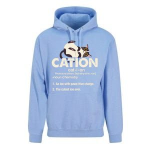 Cation Cat Science Chemistry Teacher Chemist Kitten Lover Meaningful Gift Unisex Surf Hoodie