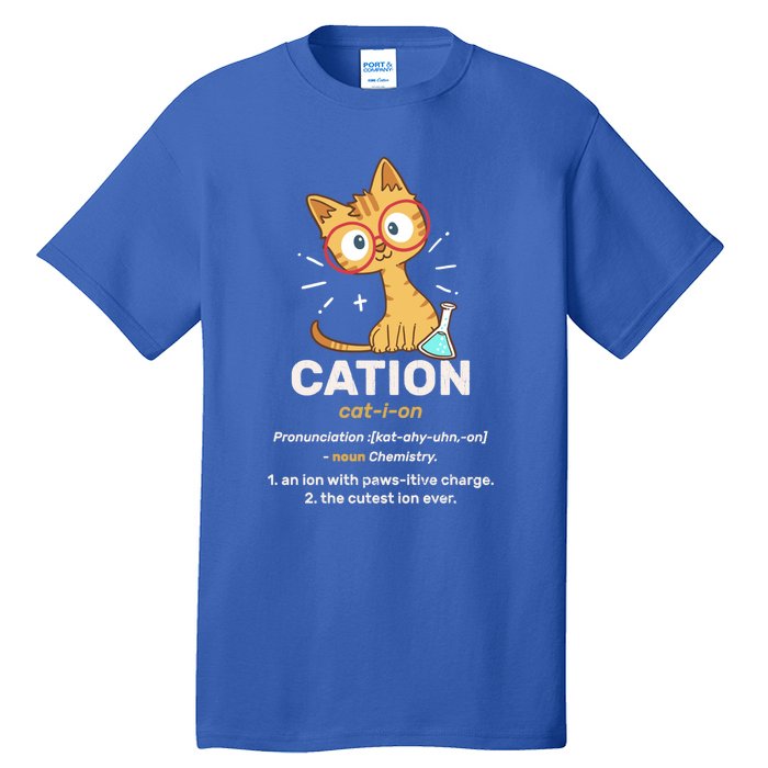 Cation Cute Science Cat Pawsitive Elet Chemistry Teacher Great Gift Tall T-Shirt