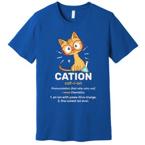 Cation Cute Science Cat Pawsitive Elet Chemistry Teacher Great Gift Premium T-Shirt