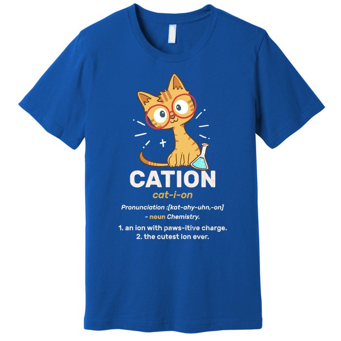 Cation Cute Science Cat Pawsitive Elet Chemistry Teacher Great Gift Premium T-Shirt