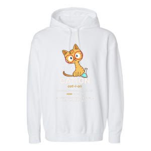 Cation Cute Science Cat Pawsitive Elet Chemistry Teacher Great Gift Garment-Dyed Fleece Hoodie