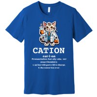 Cation Cute Science Cat Pawsitive Elet Chemistry Teacher Cute Gift Premium T-Shirt