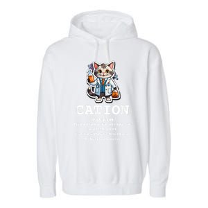 Cation Cute Science Cat Pawsitive Elet Chemistry Teacher Cute Gift Garment-Dyed Fleece Hoodie