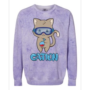 Cation Cute Science Cat Pawsitive Elet Chemistry Teacher Gift Colorblast Crewneck Sweatshirt