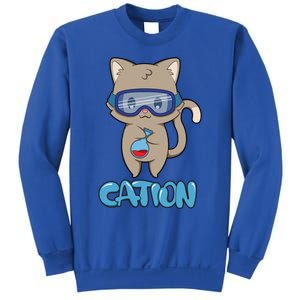 Cation Cute Science Cat Pawsitive Elet Chemistry Teacher Gift Sweatshirt