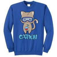 Cation Cute Science Cat Pawsitive Elet Chemistry Teacher Gift Sweatshirt