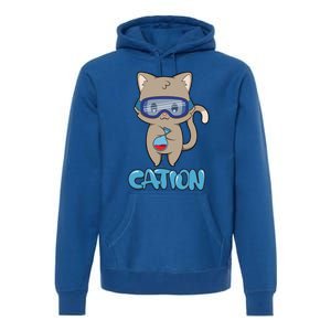 Cation Cute Science Cat Pawsitive Elet Chemistry Teacher Gift Premium Hoodie