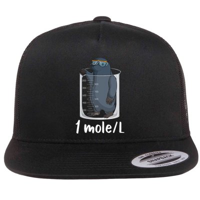 Chemistry Chemist Student Science Teacher Moles Flat Bill Trucker Hat