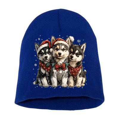 Cute Christmas Siberian Husky Puppy Dogs Santa Hat Mistletoe Gift Short Acrylic Beanie