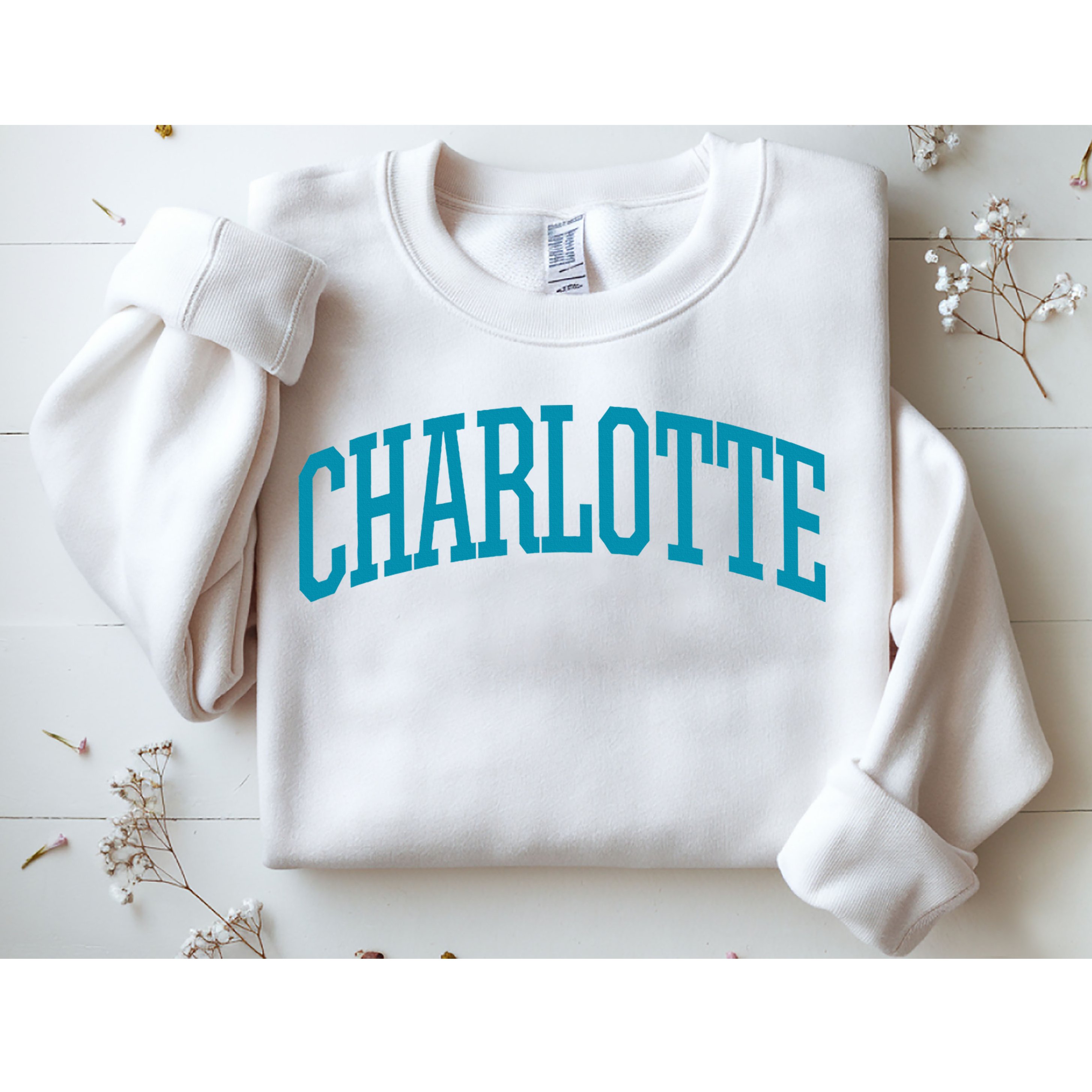 Charlotte Charlotte Sports Collegestyle Sweatshirt