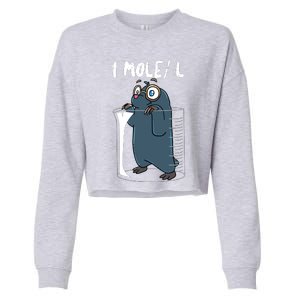 Chemistry Chemist Student Science Teacher Mole Cropped Pullover Crew