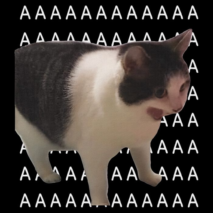 Crying Cat Screaming Cat Meme Full Zip Hoodie