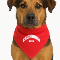 California Collegiate Style 1850 USA-Made Doggie Bandana
