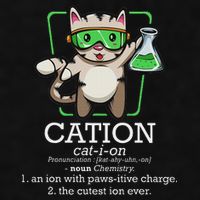 Cation Cute Science Cat Pawsitive Element Chemistry Teacher Ladies PosiCharge Tri-Blend Wicking Tank