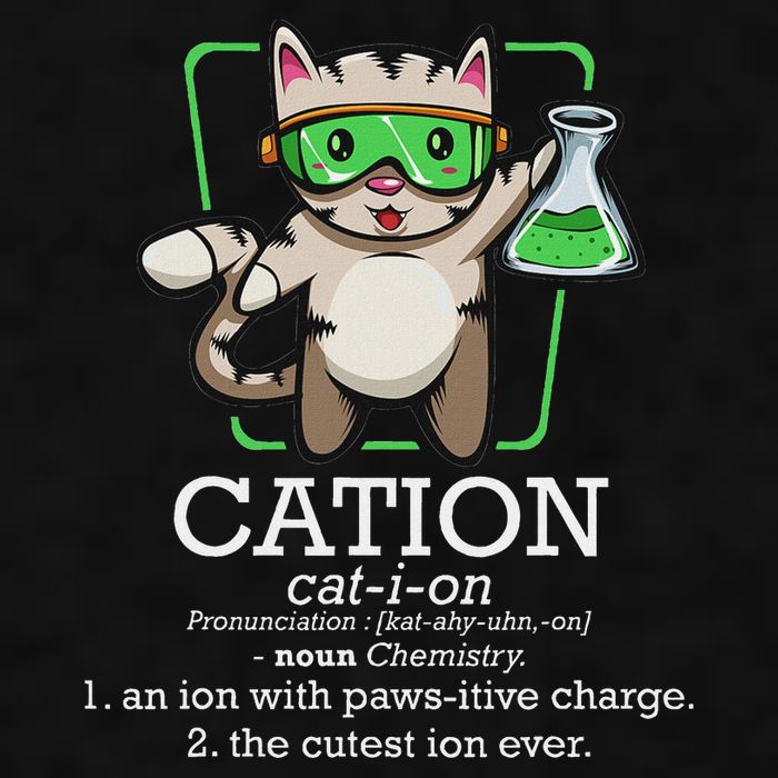 Cation Cute Science Cat Pawsitive Element Chemistry Teacher Ladies PosiCharge Tri-Blend Wicking Tank