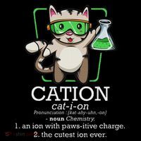 Cation Cute Science Cat Pawsitive Element Chemistry Teacher Hoodie