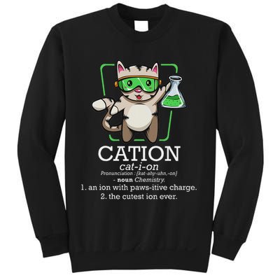 Cation Cute Science Cat Pawsitive Element Chemistry Teacher Sweatshirt