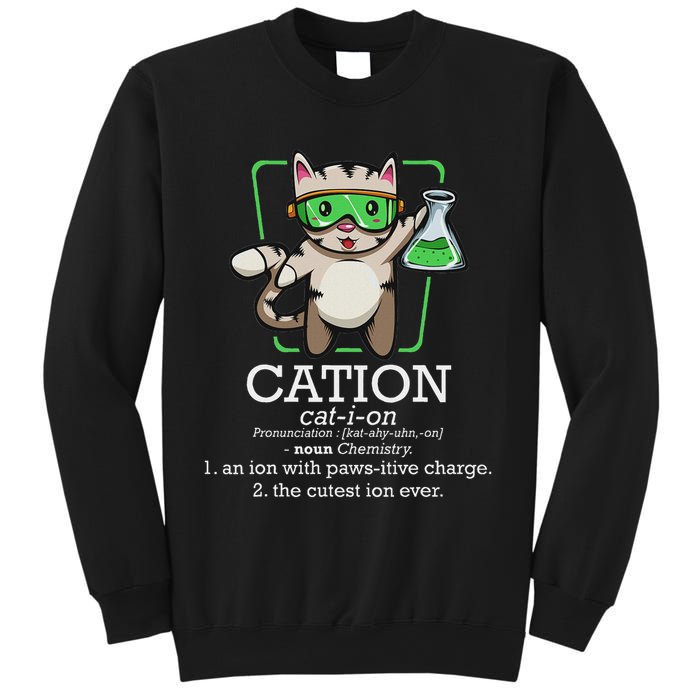Cation Cute Science Cat Pawsitive Element Chemistry Teacher Sweatshirt