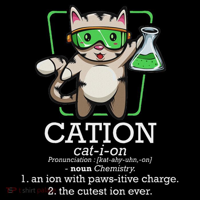 Cation Cute Science Cat Pawsitive Element Chemistry Teacher Tall T-Shirt