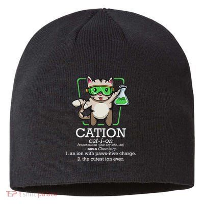 Cation Cute Science Cat Pawsitive Element Chemistry Teacher Sustainable Beanie