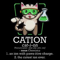Cation Cute Science Cat Pawsitive Element Chemistry Teacher 16 in Basic Backpack