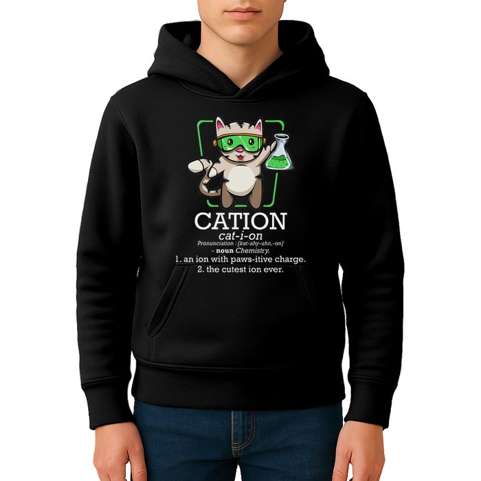 Cation Cute Science Cat Pawsitive Element Chemistry Teacher Kids Hoodie