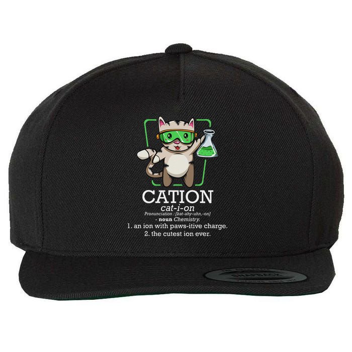 Cation Cute Science Cat Pawsitive Element Chemistry Teacher Wool Snapback Cap