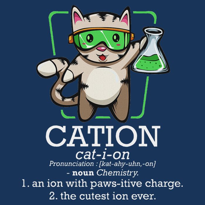 Cation Cute Science Cat Pawsitive Element Chemistry Teacher Infant Baby Jersey Bodysuit