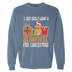 Cute Christmas Seahorse I Want A Seahorse Funny Gift Garment-Dyed Sweatshirt