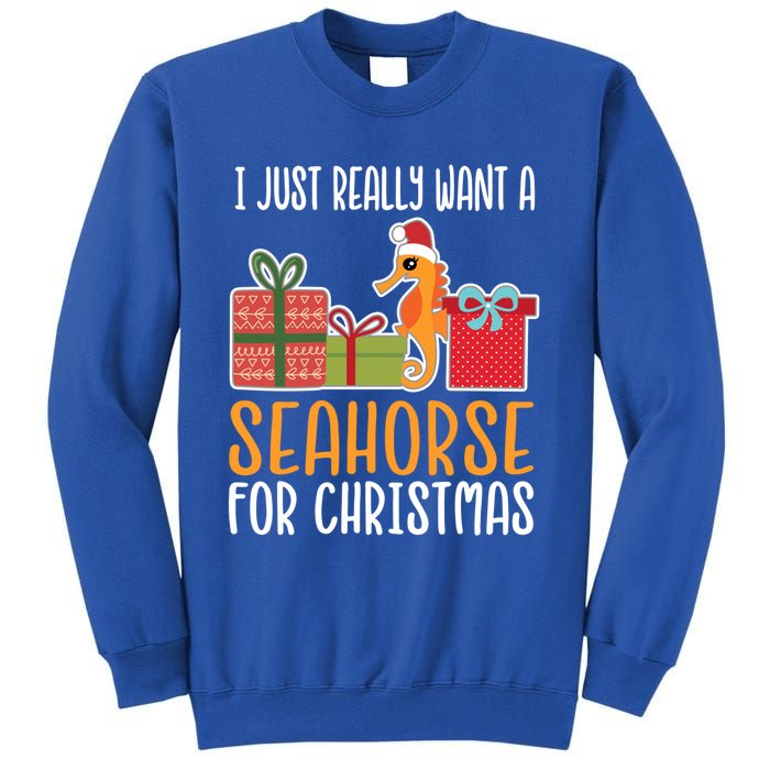 Cute Christmas Seahorse I Want A Seahorse Funny Gift Sweatshirt