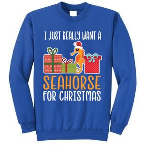 Cute Christmas Seahorse I Want A Seahorse Funny Gift Tall Sweatshirt