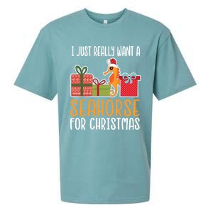 Cute Christmas Seahorse I Want A Seahorse Funny Gift Sueded Cloud Jersey T-Shirt