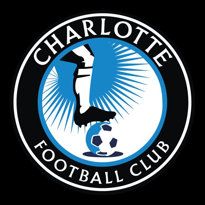 Cool Charlotte Soccer Team Football Club Cropped Pullover Crew