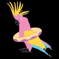 Cockatiel Cockatoo Summer Vacay Party Beach Vibes Funny Gift Youth Performance Sprint T-Shirt