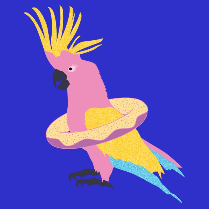 Cockatiel Cockatoo Summer Vacay Party Beach Vibes Funny Gift Womens T-Shirt