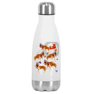 Christmas Cute Santa Claus Riding Saint Bernard Xmas Pajamas Funny Gift Stainless Steel Insulated Water Bottle