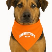 Connecticut Collegiate Style 1788 USA-Made Doggie Bandana
